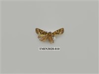 藏品(夜蛾683)的圖片